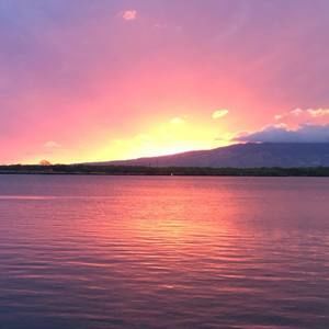 Meet your Posher, Ilies